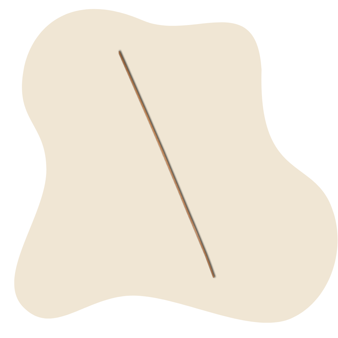 Spaghetti 250g (Gluten Free)